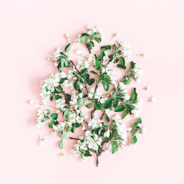 Flowers composition. Apple tree flowers on pastel pink background. Spring concept. Flat lay, top view, square