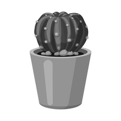 Isolated object of cactus and pot icon. Set of cactus and cacti stock symbol for web.
