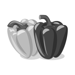 Vector design of vegetable and fruit sign. Set of vegetable and vegetarian vector icon for stock.