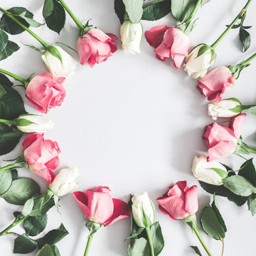 Fototapeta Flowers composition. Pink and white rose flowers on pastel gray background. Flat lay, top view, copy space, square