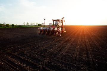 Farmer sowing crops at field with tractor. - Image