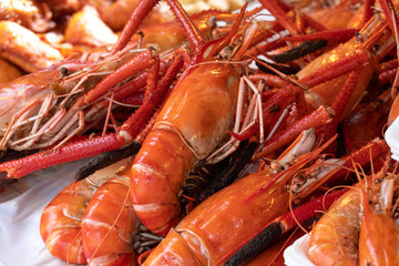 Prawn with close up view.
