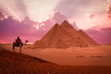 pyramid giza egypt sunset phantasy with camels and bedouin - obrazy, fototapety, plakaty