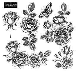 Vector set of roses, flowers, leaves, buds drawings. Floral elements collection. Vintage engraving style. For textiles, wrapping paper designs or wedding decor. Hand drawn bouquets illustration.