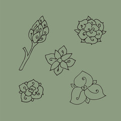 Naklejka premium Set of floral design elements. hand-drawn vector illustration