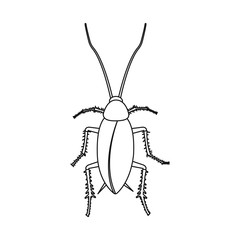 Vector design of insect and fly icon. Collection of insect and element vector icon for stock.