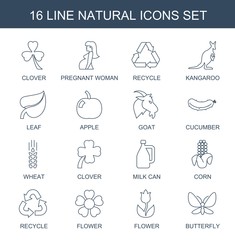 16 natural icons