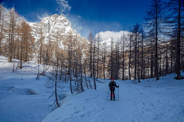 A hiker walk through the sunny snowy landscape of the Alpe Devero in Piedmont, Italy.