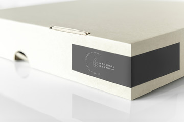 Restaurant and cafe pizza box mockup