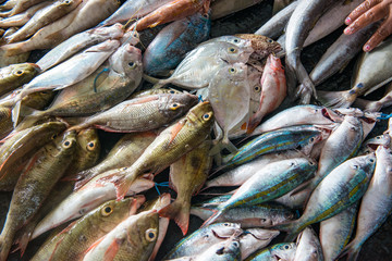Fototapeta premium fish market