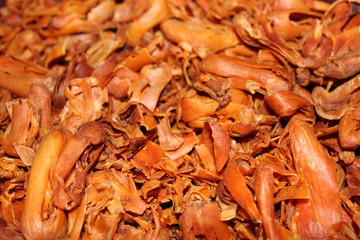 Dried Herbs spice Nutmeg