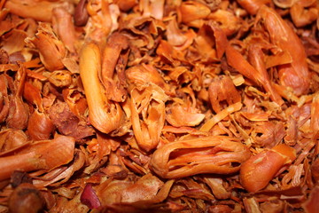 Dried Herbs spice Nutmeg