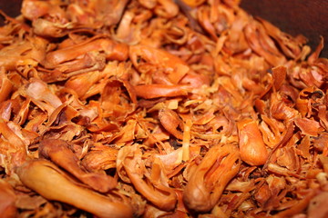 Dried Herbs spice Nutmeg