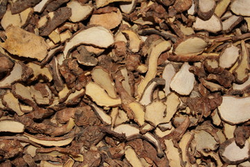 Dry herb Boesenbergia rotunda, lesser galangal or Chinese ginger