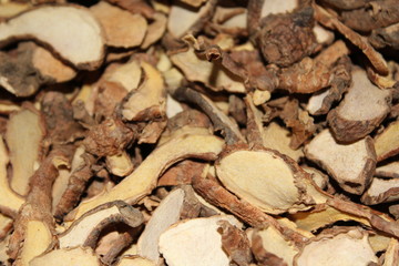 Dry herb Boesenbergia rotunda, lesser galangal or Chinese ginger