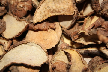 Dry herb Boesenbergia rotunda, lesser galangal or Chinese ginger