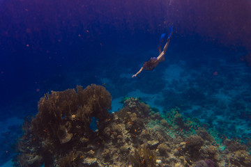 Fototapeta na wymiar Underwater. Young woman snorkeling gliding over vivid coral reef on a breath hold