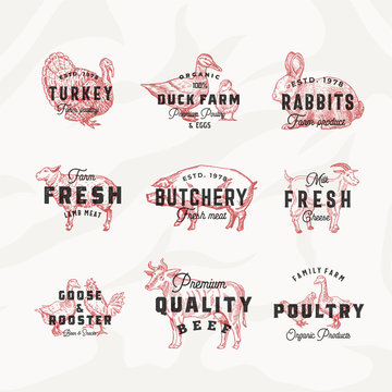 Retro Cattle and Poultry Vector Logo Templates Set. Hand Drawn Vintage Domestic Animals and Birds Sketches with Vintage Typography. Pig, Cow, Chicken, Rabbit, Turkey, etc. Meat Texture Background