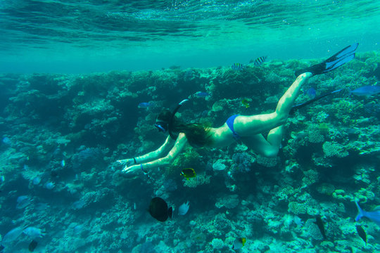 Young woman snorkeling in a tropical sea and feeding color fish