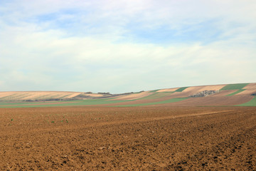 Fototapeta na wymiar Plowed field agriculture Voivodina Serbia landscape