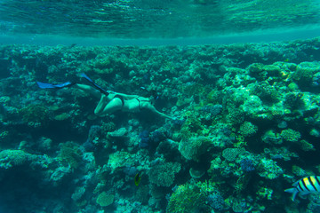 Naklejka na ściany i meble Young woman snorkeling over coral reefs in a tropical sea