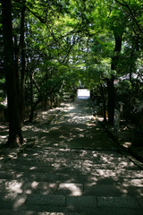 Fototapeta premium 功山寺