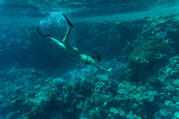 Young girl at snorkeling with fish in the tropical water. Traveling, active lifestyle concept.