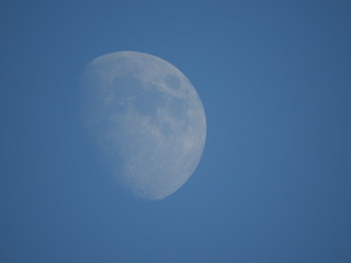 Mond