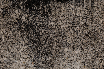 Old cement wall background
