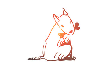 Dog, walking, outdoor, pet, domestic concept. Hand drawn isolated vector.