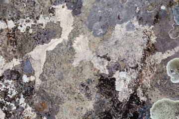 Natural mountain stone,texture,close-up.