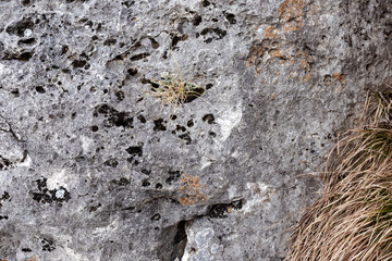 Natural mountain stone,texture,close-up.