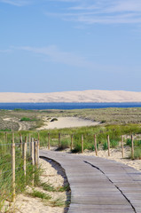 Fototapeta na wymiar Vue panoramique sur le bassin d'Arcachon et la dune du Pilat ou Pyla. Photo prise du cap Ferret. Gironde, Aquitaine, France