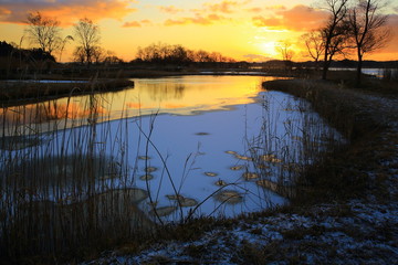 伊豆沼の夜明け