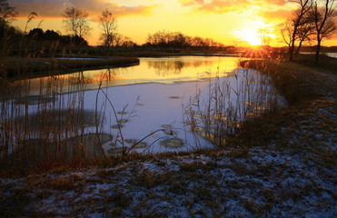 伊豆沼の夜明け