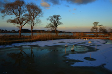 Fototapeta premium 伊豆沼の夜明け