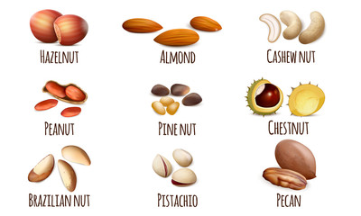 Nut icons set. Realistic set of nut vector icons for web design isolated on white background