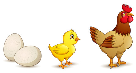 cute cartoon process step by step baby chickens hatch from eggs to adults