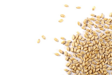Wheat pile isolated on white background, top view