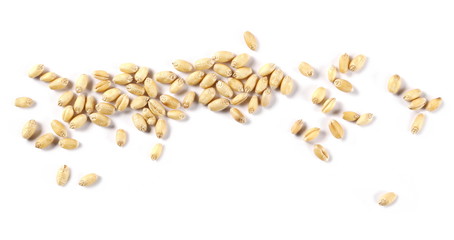 Wheat pile isolated on white background, top view