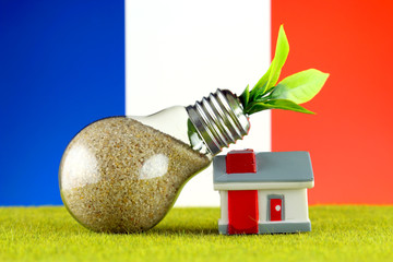 Plant growing inside the light bulb, miniature house on the grass and France Flag. Renewable energy. Electricity prices, energy saving in the household.