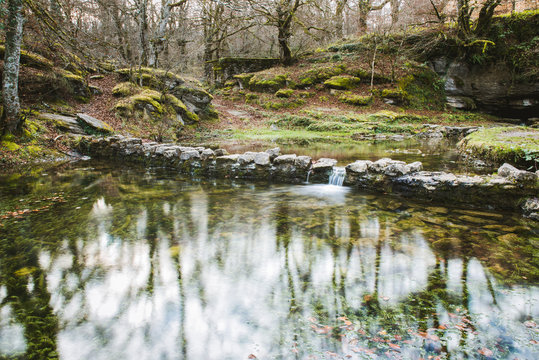 Stones between water in park