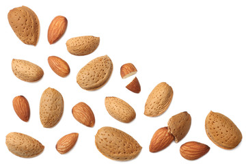 almonds isolated on white background top view