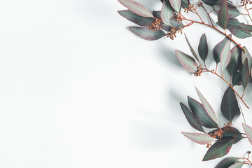 Eucalyptus leaves on pastel gray background. Pattern made of eualyptus branches. Flat lay, top...