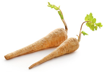 Carrot spreading leaves after harvesting