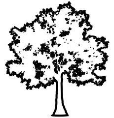 Tree profile silhouette isolated - black outlined detailed - vector