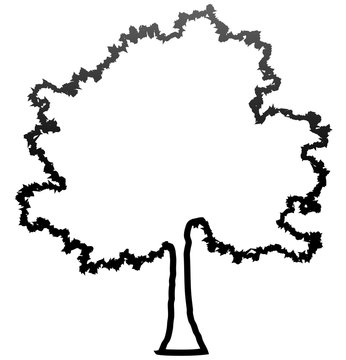 Tree profile silhouette isolated - black outlined gradient detailed - vector