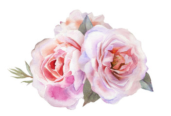 Beautiful tender pink roses for wedding invitations, greeting cards, photos and more. Hand drawn watercolor - 244694548