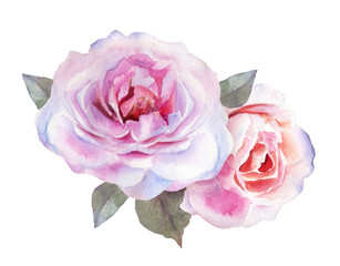 Beautiful tender pink roses for wedding invitations, greeting cards, photos and more. Hand drawn watercolor