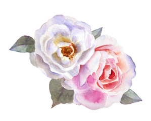 Beautiful tender pink roses for wedding invitations, greeting cards, photos and more. Hand drawn watercolor - 244694562
